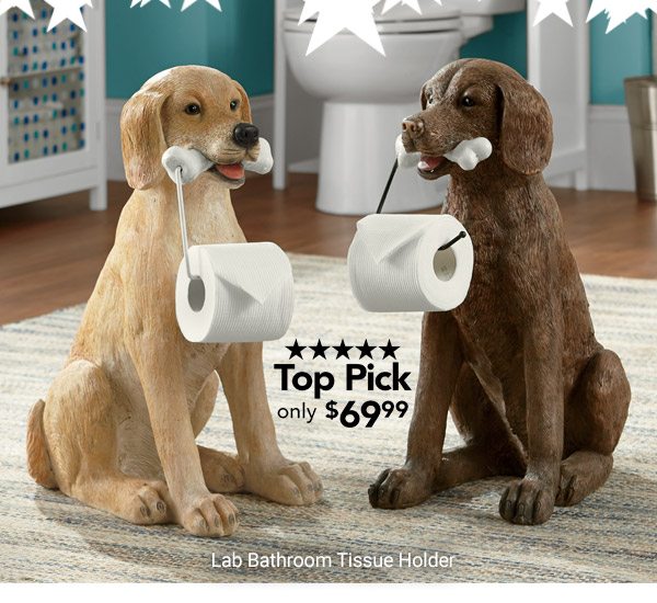 Lab Bathroom Tissue Holder - Top Pick Only $69.99