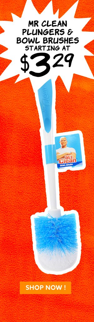 Mr Clean Plungers & Bowl Brushes