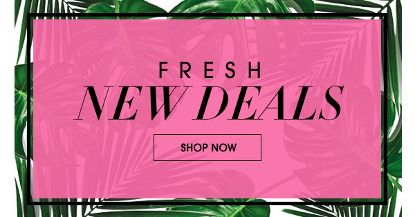 FRESH NEW DEALS | SHOP NOW