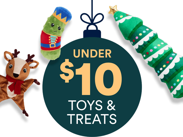 TOYS & TREATS UNDER $10