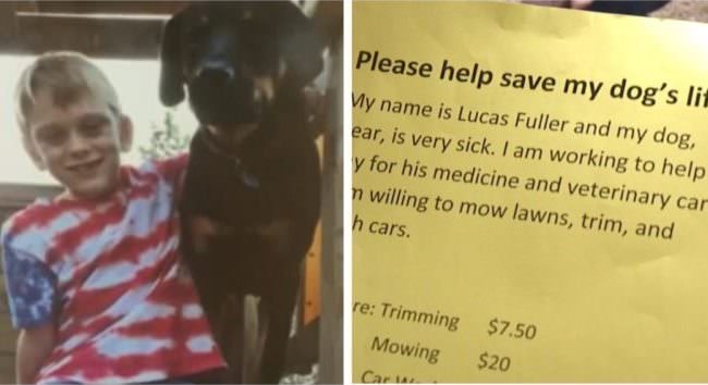 Boy Posts “Help For Hire” Flyers To Raise Money For His Sick Dog
