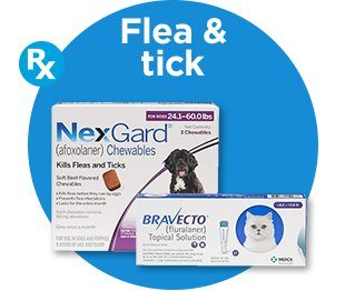 Flea & tick.