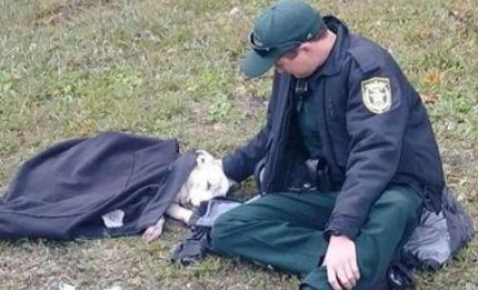 Officer Wouldn’t Leave This Injured Dog’s Side Until Help Arrived
