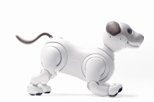 aibo's movements are fluid and lifelike