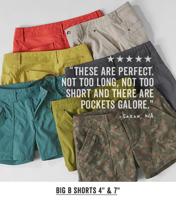 Shop the Big B Shorts 4" >