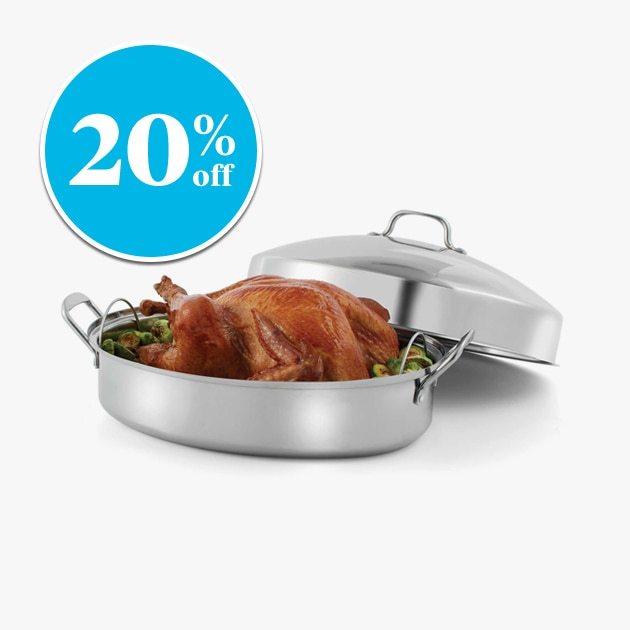 EXCLUSIVELY OURS℠ SALT™ Stainless Steel 16-Inch Dome Roaster - 20% off