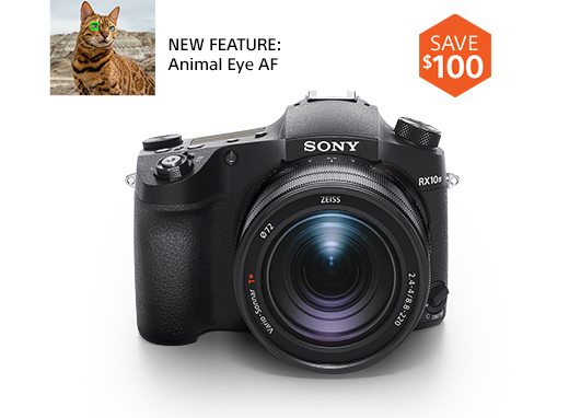 NEW FEATURE: Animal Eye AF | RX10 IV Camera