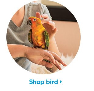Shop bird.
