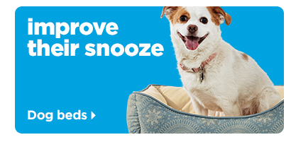 dog beds >