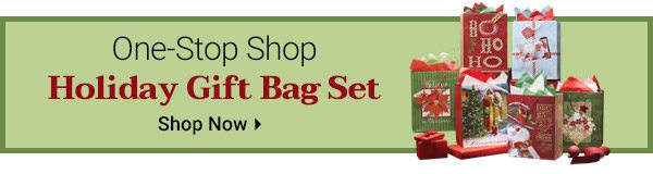 One-Stop Shop Holiday Gift Bag Set - Shop Now