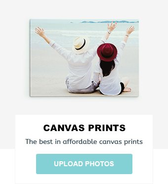 Canvas Prints