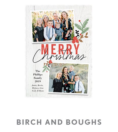 Birch and Boughs
