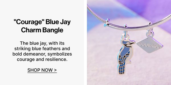 'Courage' Blue Jay Duo Charm Bangle Bracelet | Shop Now