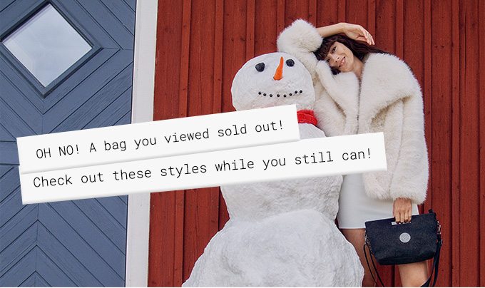 Oh no A bag you viewed sold out!