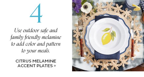 Citrus Melamine Accent Plates