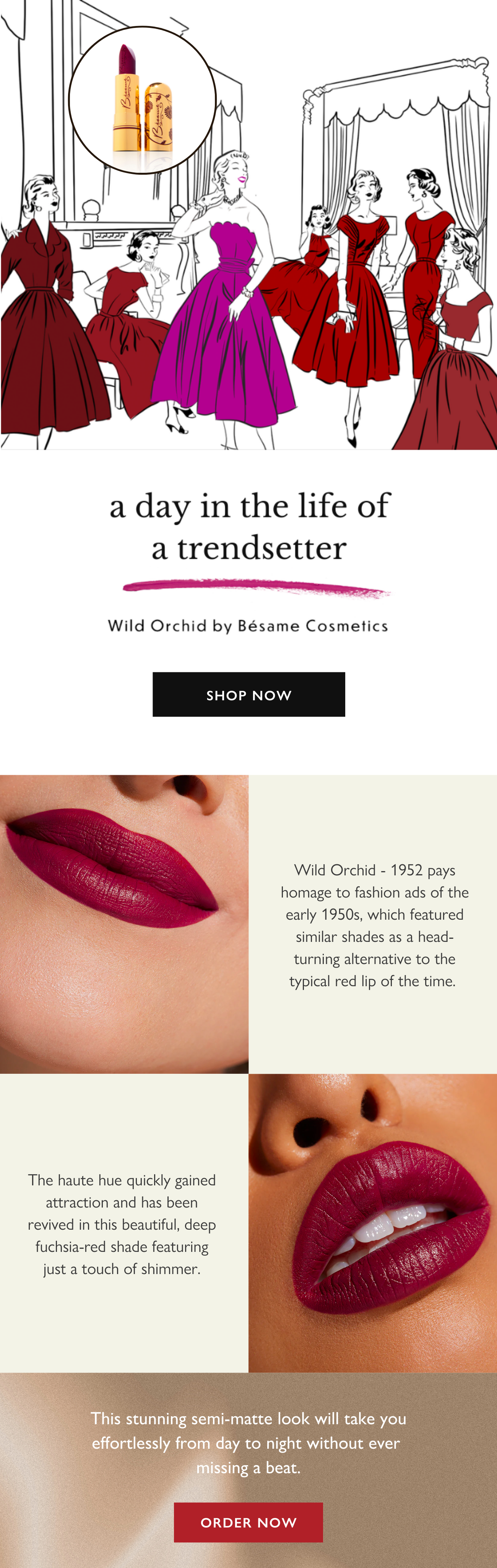 shop wild orchid