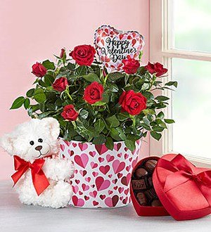 Classic Budding Rose SHOP NOW 