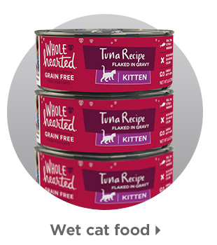 Wet cat food > 