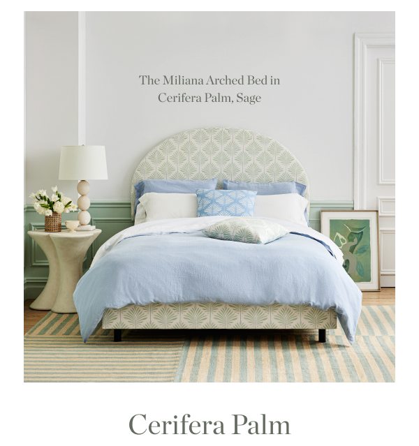 Shop Cerifera Palm