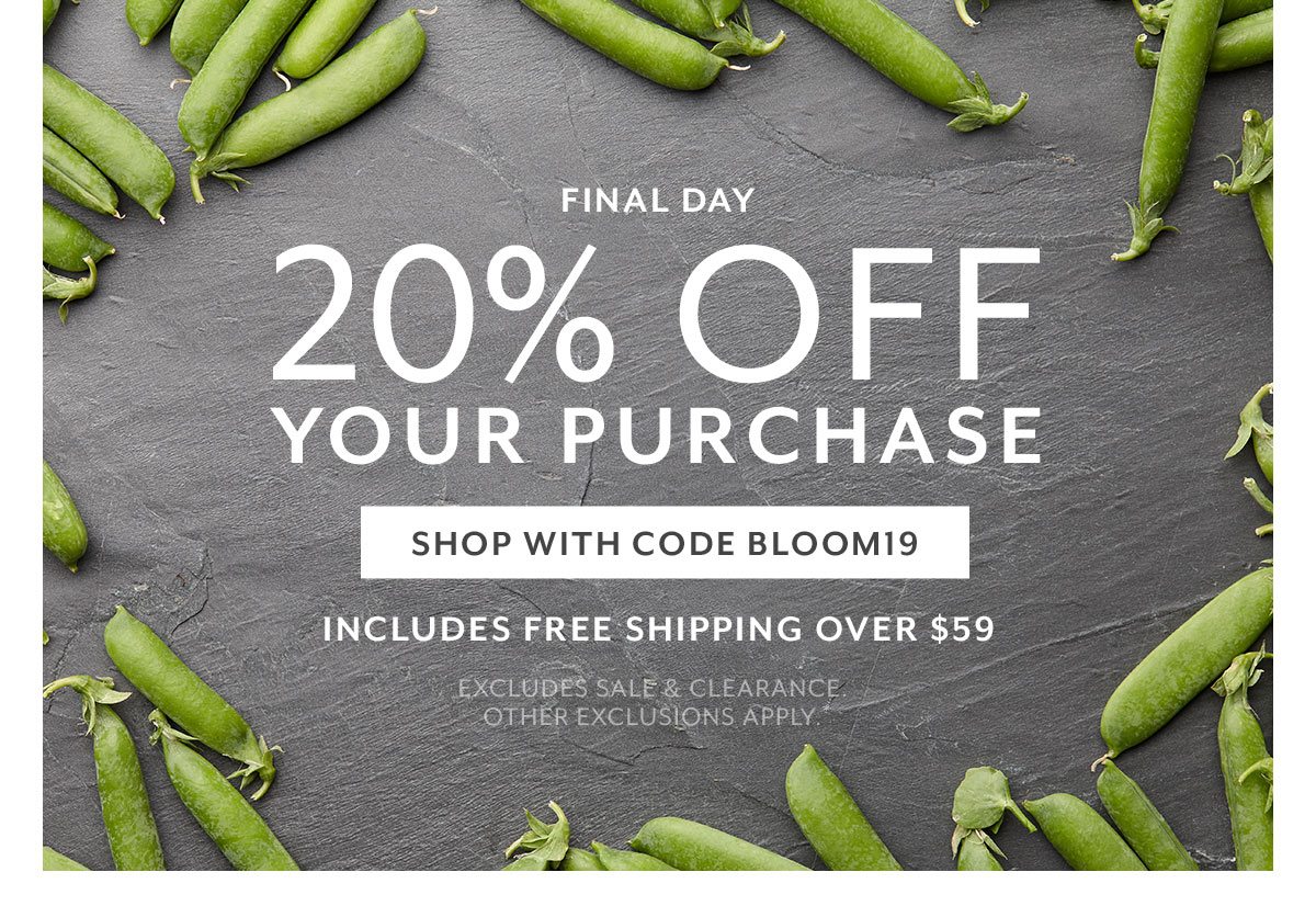 Final Day • 20% Off Your Purchase