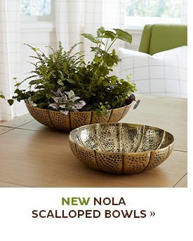 Nola Scalloped Bowls