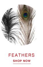 SHOP FEATHERS