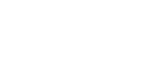 Black Friday Weekend Logo