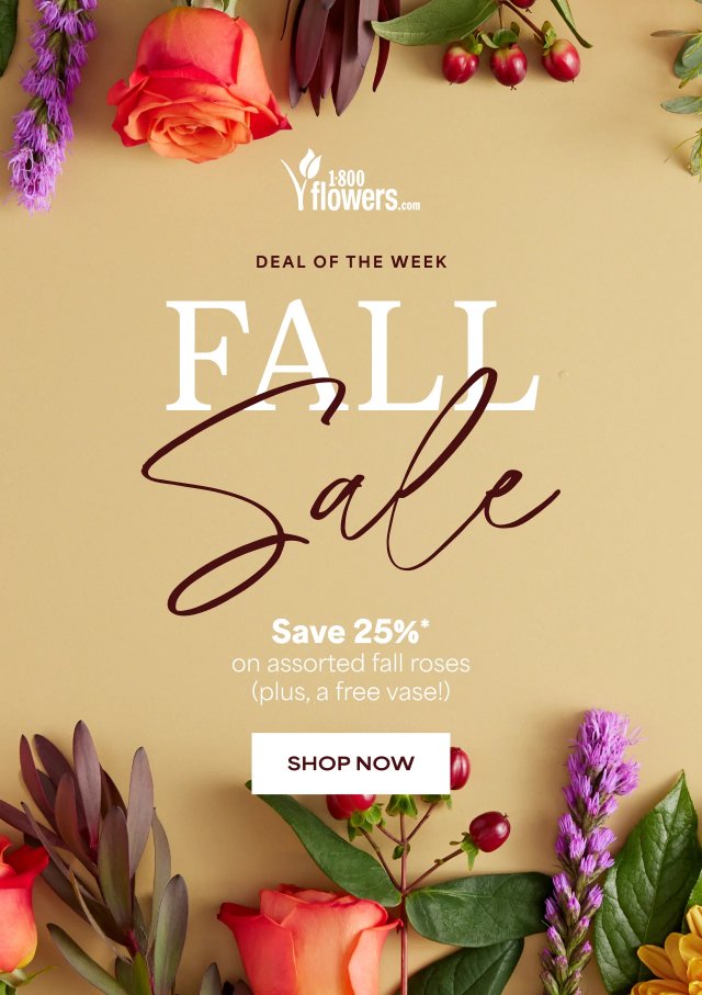 FALL SALE!