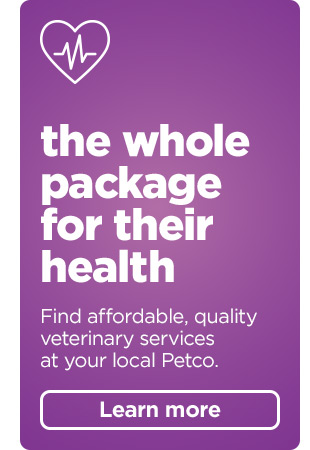 The whole package for their health. Find affordable, quality veterinary services at your local Petco.