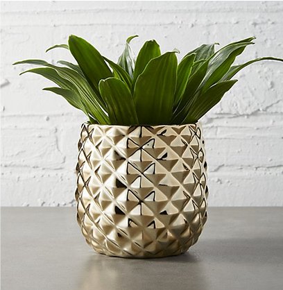 colada pineapple vase-planter