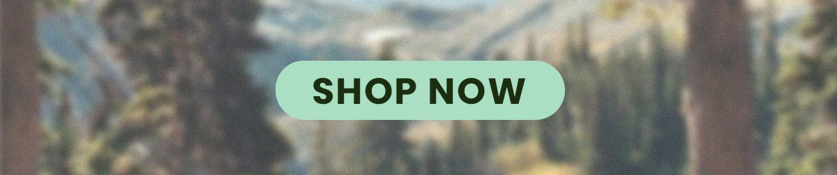 Shop the Sale