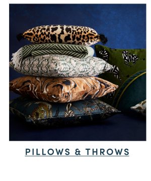 Shop Pillows and Throws