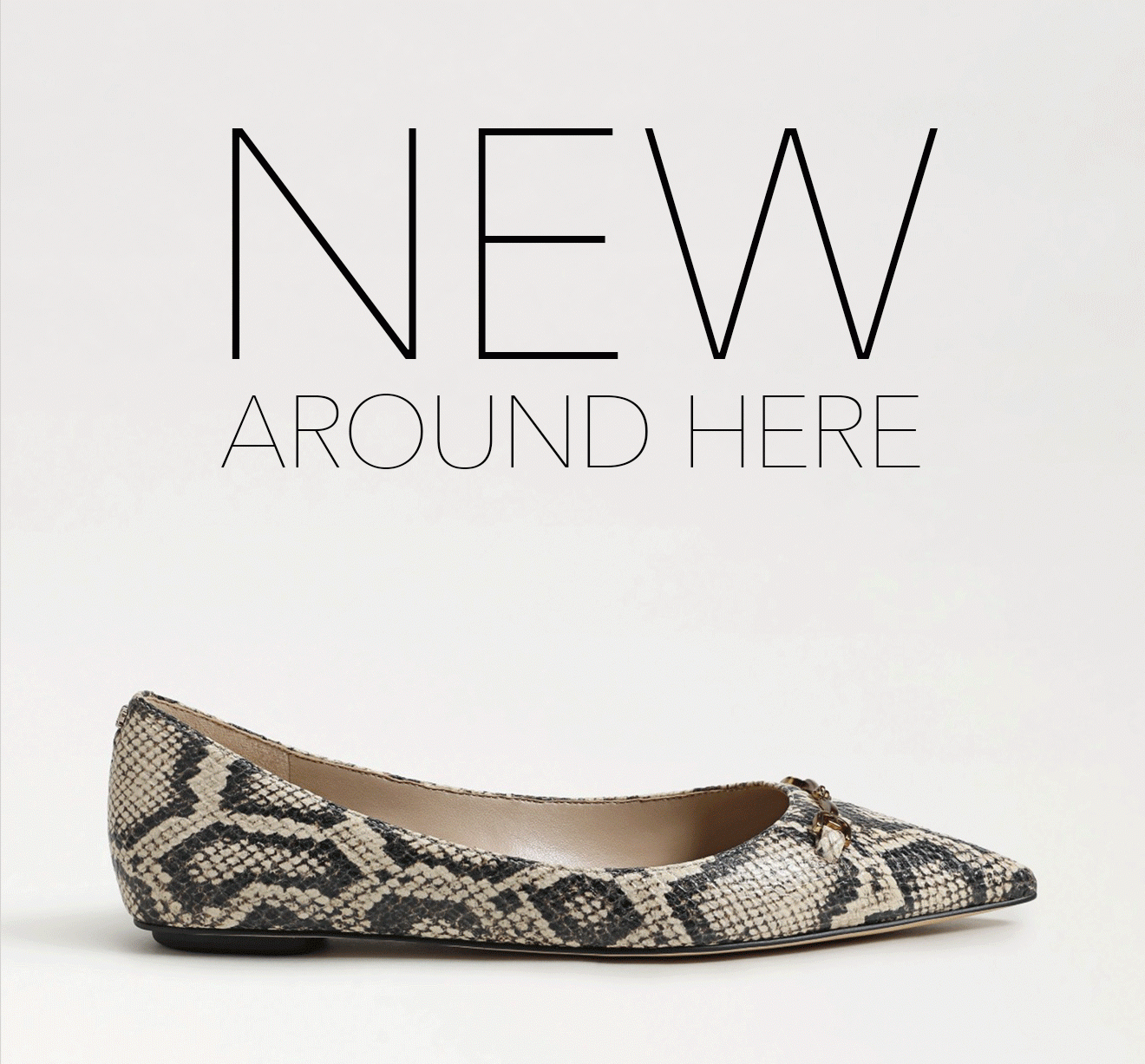 New Around Here | Embrace Elegane With The Nori Flat, Featuring A Sleek Pointed Toe And Chic Bow Detailing. This Sophisticated Flat Is Perfect For Elevating Office Wear Or Complementing Your Evening Ensemble. | Shop The Nori