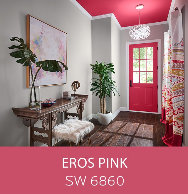 Try A Lively Hot-Pink Color To Make A Statement In Your Space - Explore Eros Pink