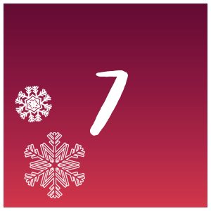 12 Days of Christmas