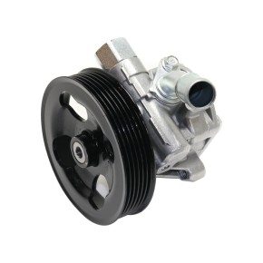 Power Steering Pump - With Pulley