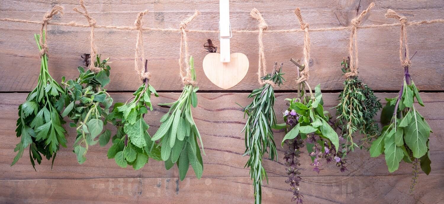 Your Guide to Herbs