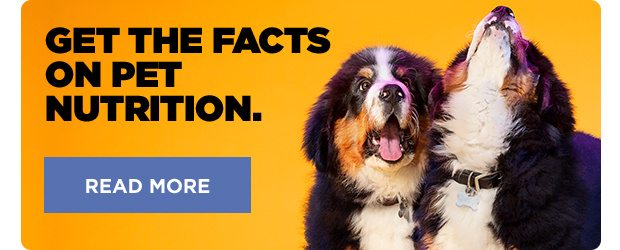Get the facts on pet nutrition. Read more.