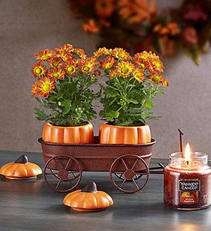 Festive Fall Pumpkin Hayride SHOP NOW 