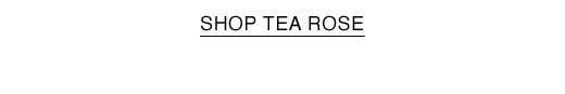 SHOP TEA ROSE