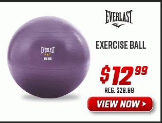 EVERLAST Exercise Ball