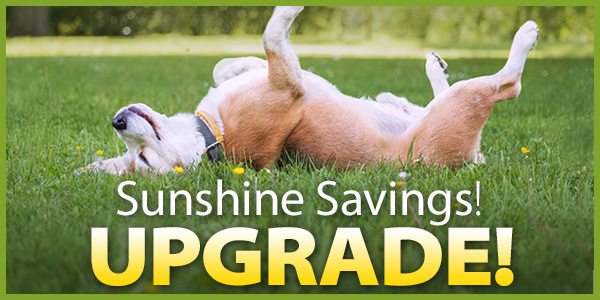 Sunshine & Upgraded Savings! 10% Off | 20% Off over $79 | $3.99 Shipping over $99*