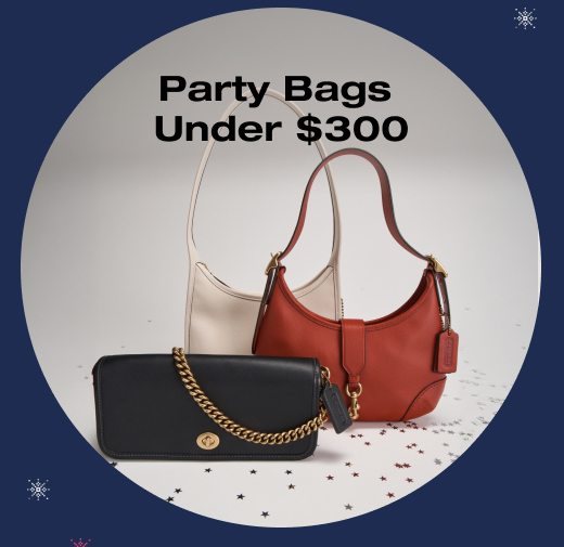 PARTY BAGS UNDER $300