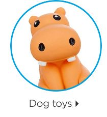 Dog toys.