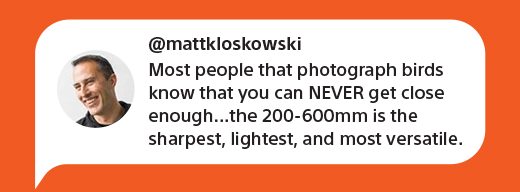 @mattkloskowski | Most people that photograph birds know that you can NEVER get close enough...the 200-600mm is the sharpest, lightest, and most versatile.