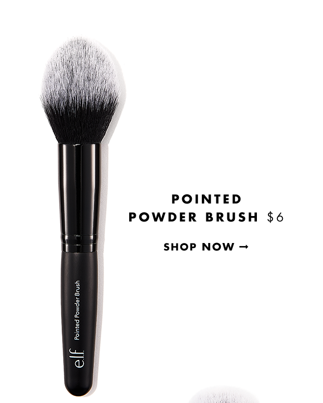 Pointed Powder Brush