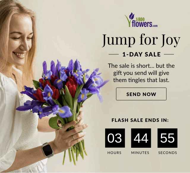 1 Day Flash Sale Ends Soon