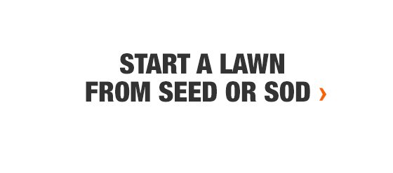 Start a Lawn from Seed or Sod