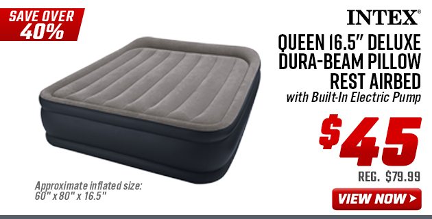 Intex Queen 16.5'' Deluxe Dura-Beam Pillow Rest Airbed 