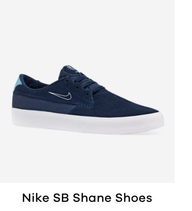 Nike SB Shane Shoes